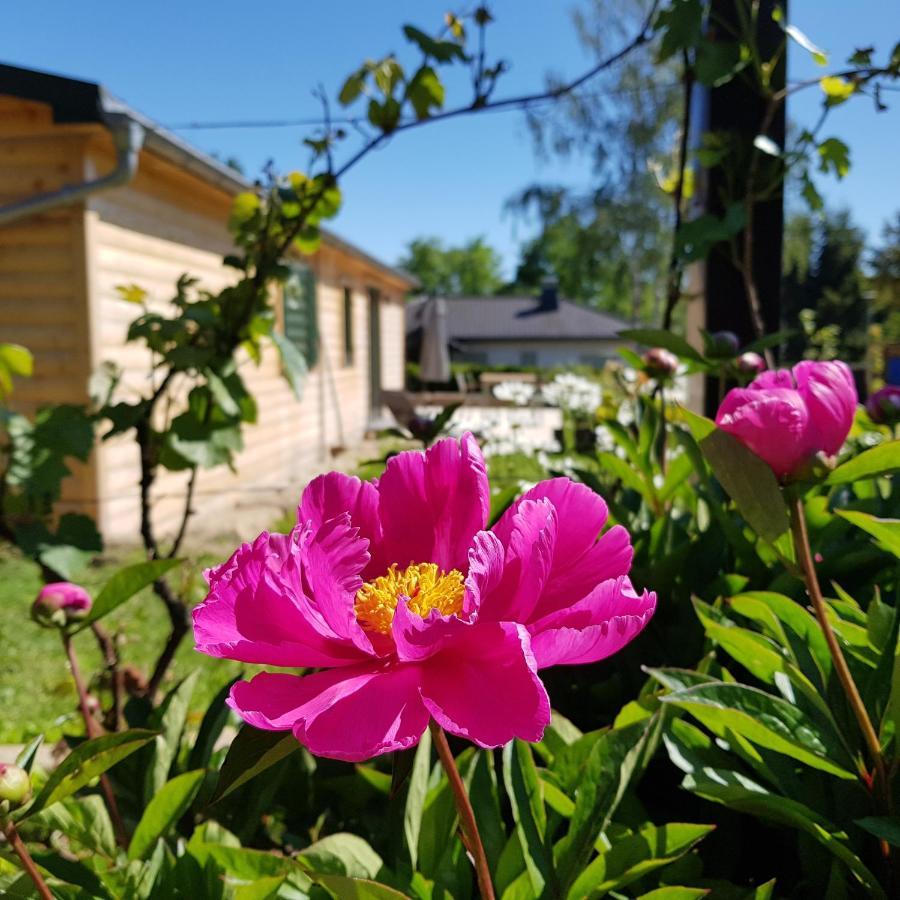 Chalet "Waldhauszeit" Am See Mücke Eksteriør bilde